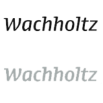 Logo Wachholtz Verlag